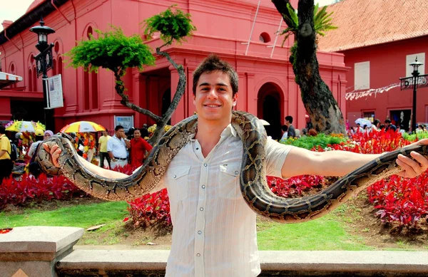 Melaka, Malasia: Hombre joven con gran serpiente —  Fotos de Stock