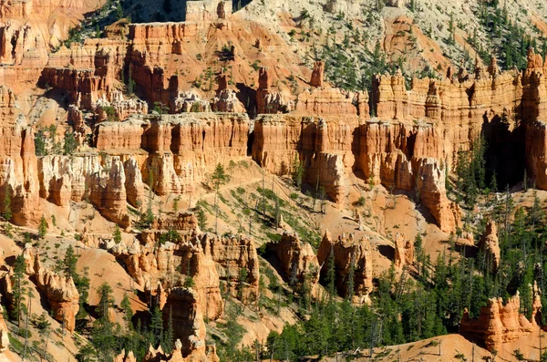 Canyon de Bryce — Photo