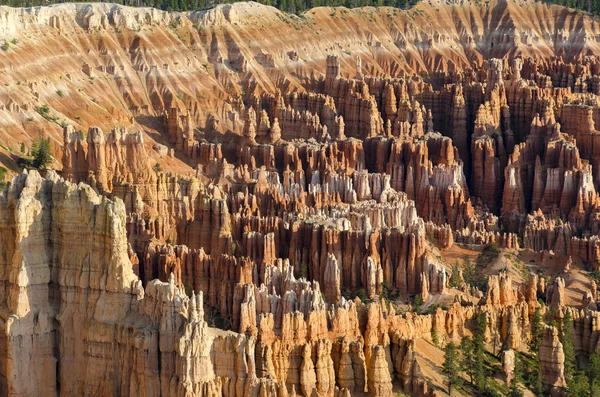 Canyon de Bryce — Photo