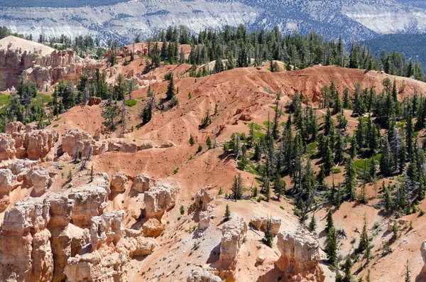 Bryce Canyon — Stock Photo, Image