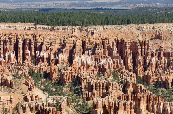 Bryce Canyon. — Fotografia de Stock