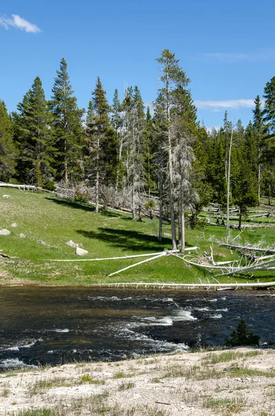 River in Yellowstone — Stock Photo, Image