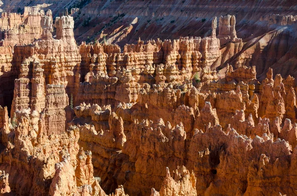 Canyon de Bryce — Photo