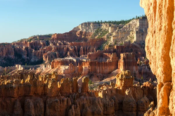 Bryce Canyon Ordförande — Stockfoto