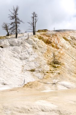 genel bakış mamut hot springs