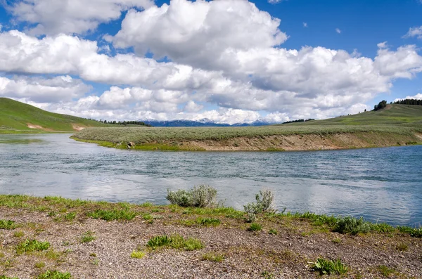 Río en Yellowstone — Foto de Stock