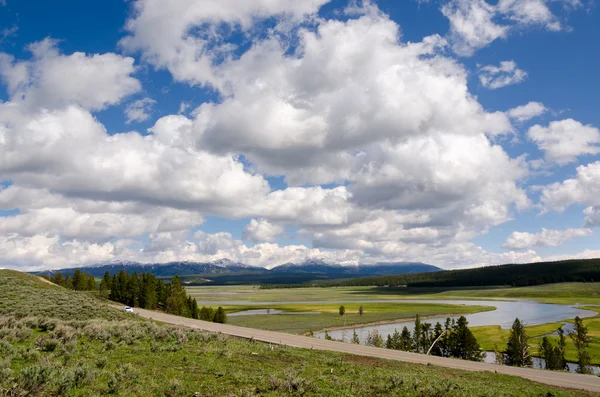 Yellowstone Nehri — Stok fotoğraf