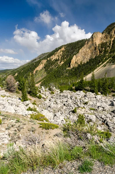 Desfiladeiro no Rio Yellowstone — Fotografia de Stock
