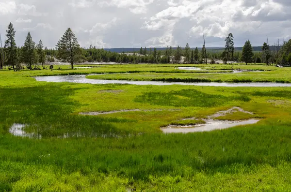 Río en Yellowstone — Foto de Stock