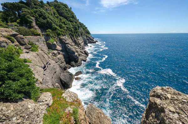 Overzicht van de kust van portofino — Stockfoto