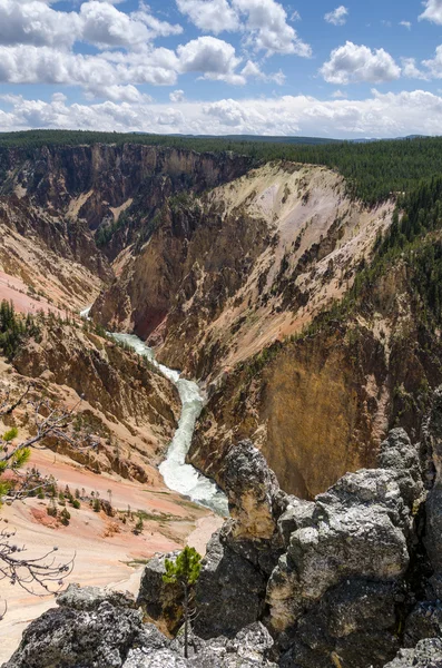 Yellowstone falls — Stock Photo, Image