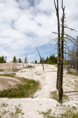 yellowstone havzasında Şofben