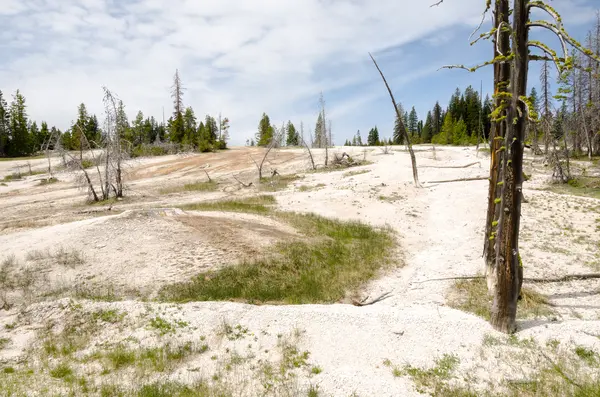 Geyser basin i yellowstone — Stockfoto