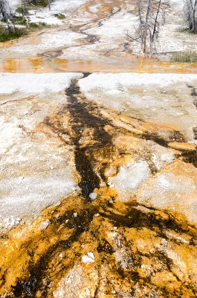 Cuenca de géiseres en Yellowstone — Foto de Stock