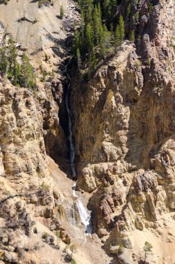 Yellowstone'da şelale
