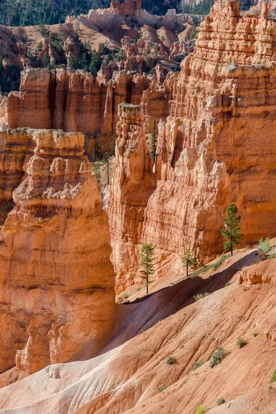 Bryce Canyon. — Fotografia de Stock