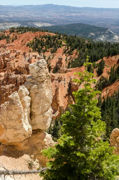 Bryce-schlucht — Stockfoto