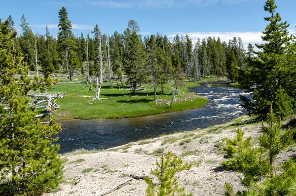 Річка в Yellowstone — стокове фото