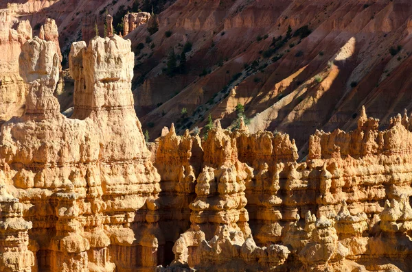 Bryce Canyon. — Fotografia de Stock