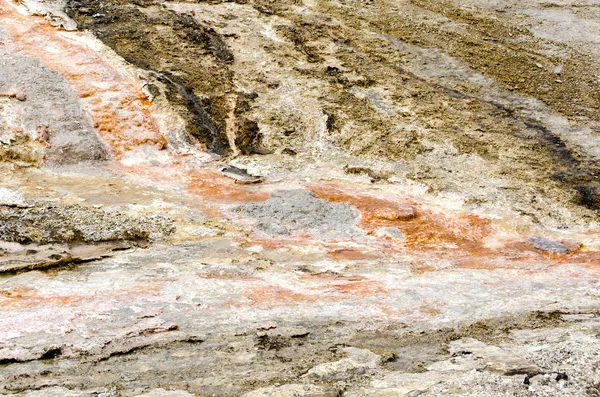 Гейзер в yellowstone — стокове фото
