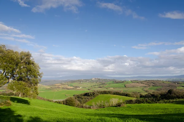 Lente in Toscane — Stockfoto