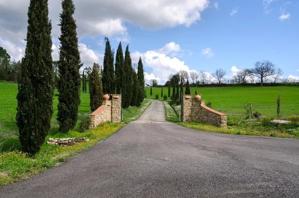 Gate in Tuscany — Stock Photo, Image