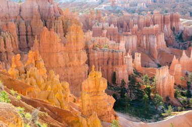 Bryce Kanyonu Ulusal Parkı