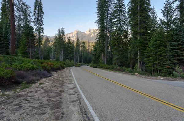 Yol sequoia national Park — Stok fotoğraf