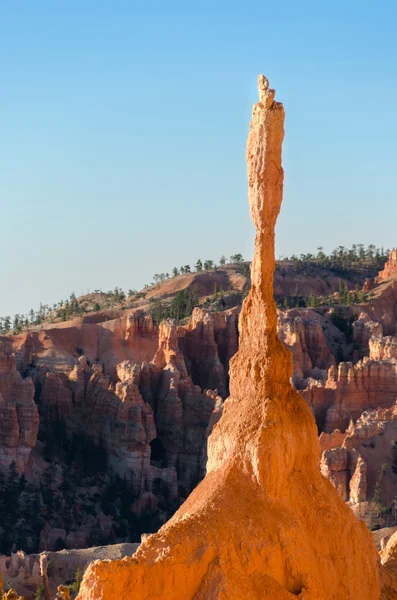 Bryce Canyon Ordförande — Stockfoto