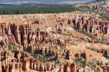 Bryce Kanyonu