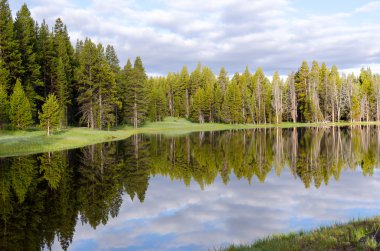 yellowstone Gölü ağaçlar yansıyan