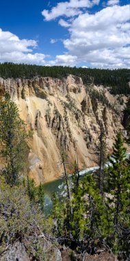 yellowstone Nehri manzaralı