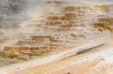 Yellowstone'da mamut hot springs