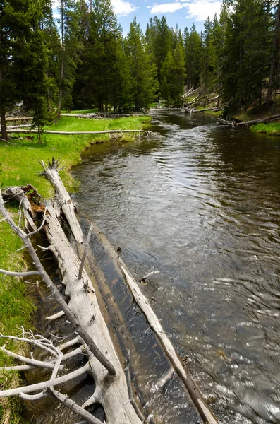 Річка і гейзерів, Yellowstone, у — стокове фото