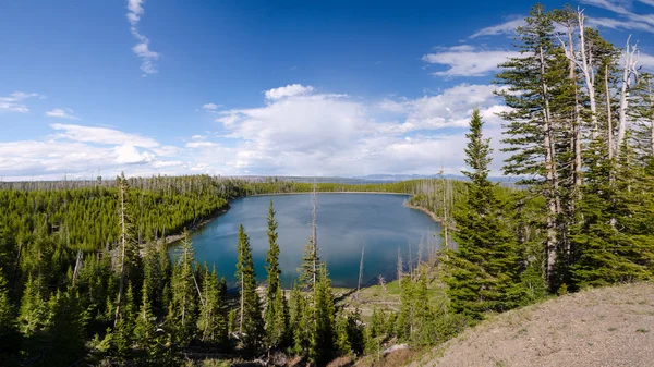 Overzicht van yellowstone lake — Stockfoto