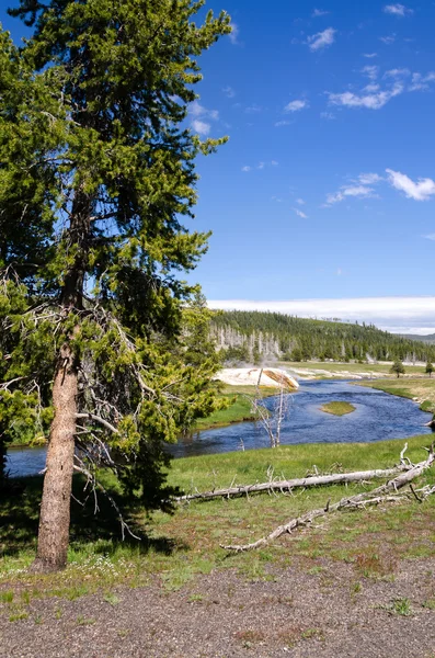 Fluss in Yellowstone — Stockfoto
