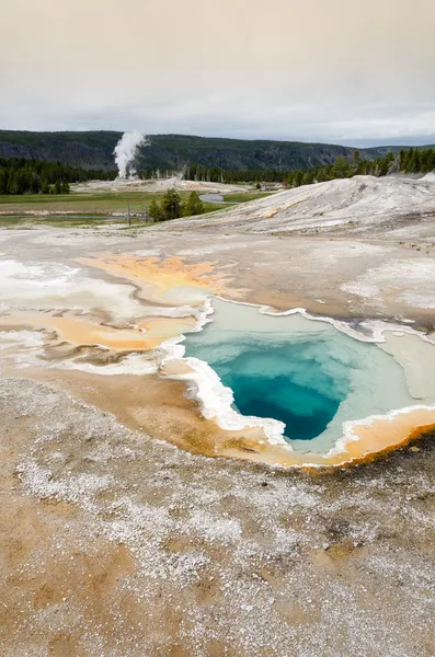 Geyser in Yellowstone — Stock Photo, Image