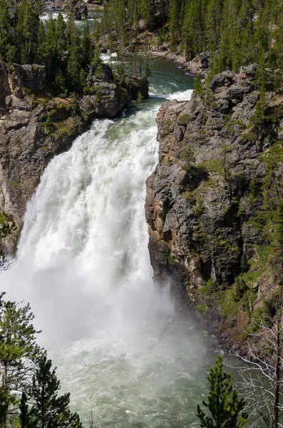 Cataratas Yellowstone —  Fotos de Stock