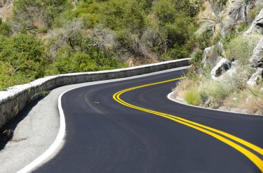 yol sequoia national Park