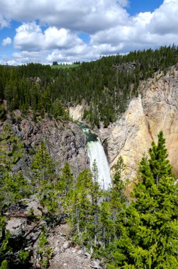 Yellowstone Falls