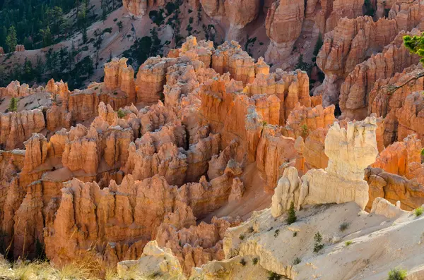 Canyon de Bryce — Photo