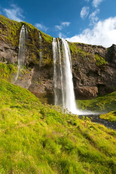 Wodospad Seljalandsfoss o wysokości — Zdjęcie stockowe