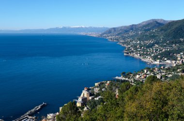Ligurian kıyısında camogli dan