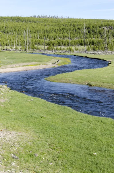 Yellowstone River — Stock Photo, Image