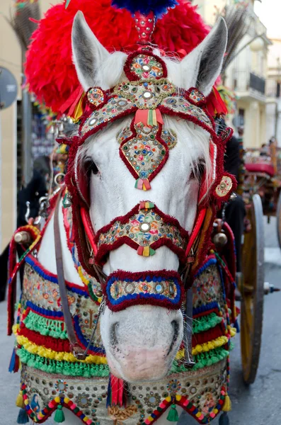 Caballo decorado — Foto de Stock