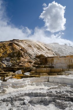 Yellowstone'da mamut hot springs