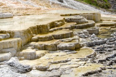Yellowstone'da mamut hot springs