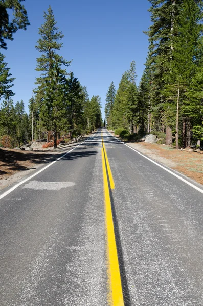 Route à Yosemite — Photo