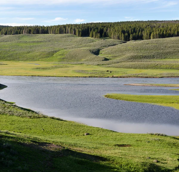 Fluss in Yellowstone — Stockfoto