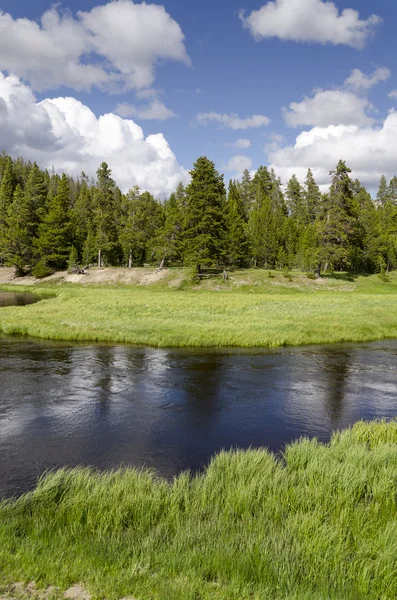 Yellowstone River — Stock Photo, Image